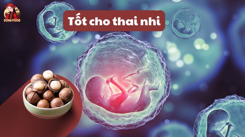 Hạt macca tốt cho thai nhi phát triển