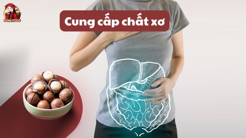 Hạt macca giúp cải thiện hệ tiêu hóa