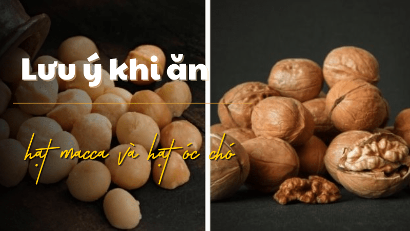 Những điều cần lưu ý khi bà bầu ăn macca và hạt óc chó