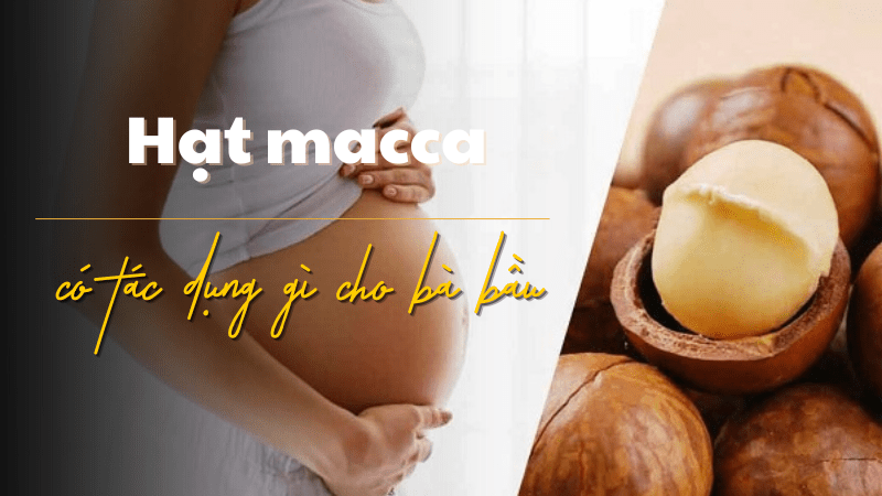 hạt macca có tác dụng gì cho bà bầu