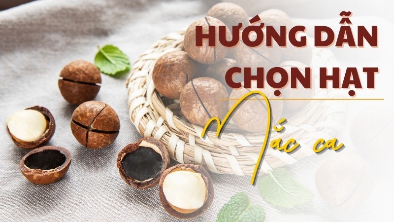 Hạt macca hà nội