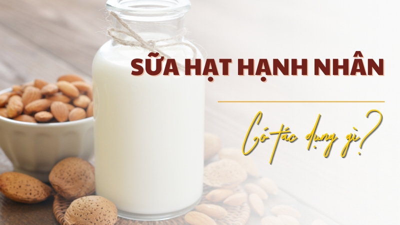 Tác dụng của hạt hạnh nhân