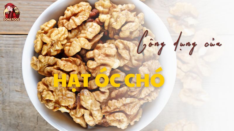 Công dụng của hạt óc chó