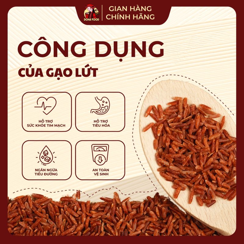 Gạo lứt