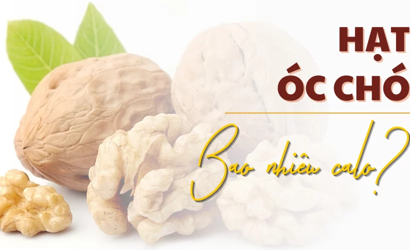 Hạt óc chó bao nhiêu calo