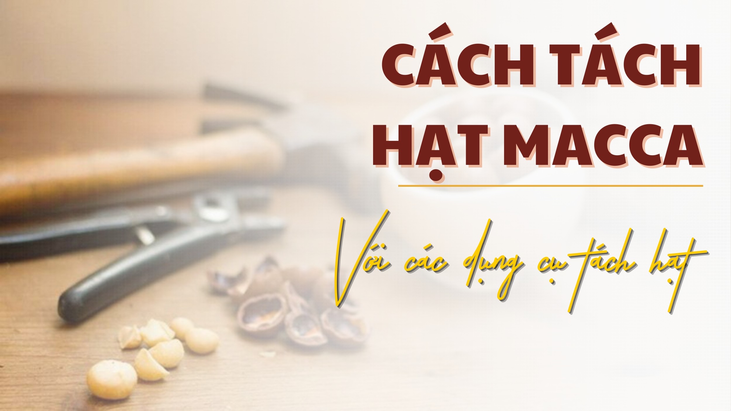 Cách tách hạt macca với các dụng cụ