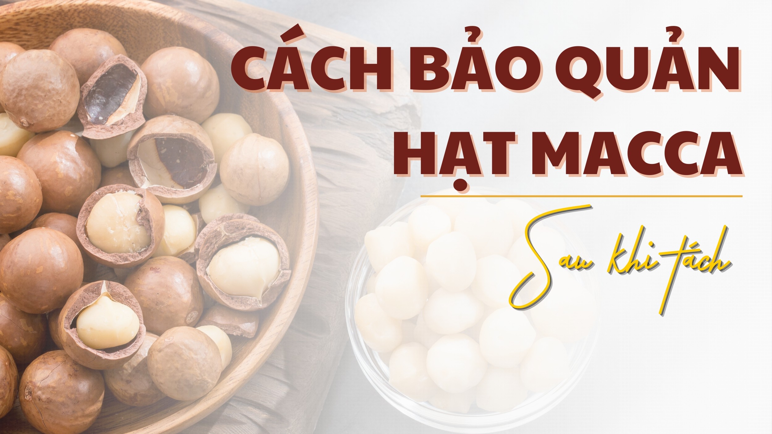 Cách bảo quản hạt macca 