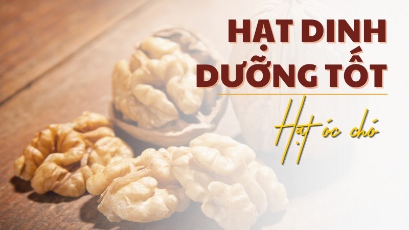 các loại hạt dinh dưỡng