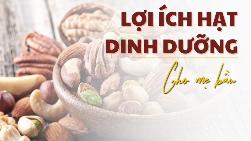 Lợi ích hạt dinh dưỡng