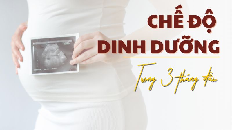 Chế độ dinh dưỡng cho mẹ bầu