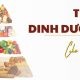 Tháp dinh dưỡng cho mẹ bầu