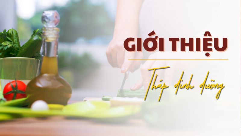 Giới thiệu tháp dinh dưỡng