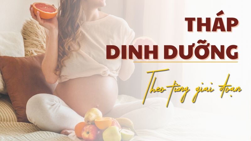 Tháp dinh dưỡng theo từng giai đoạn