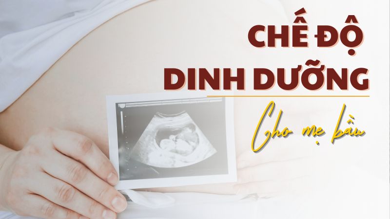 Chế độ dinh dưỡng cho mẹ bầu