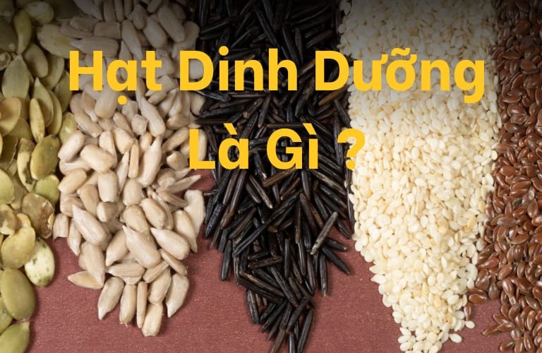 Hạt dinh dưỡng là gì