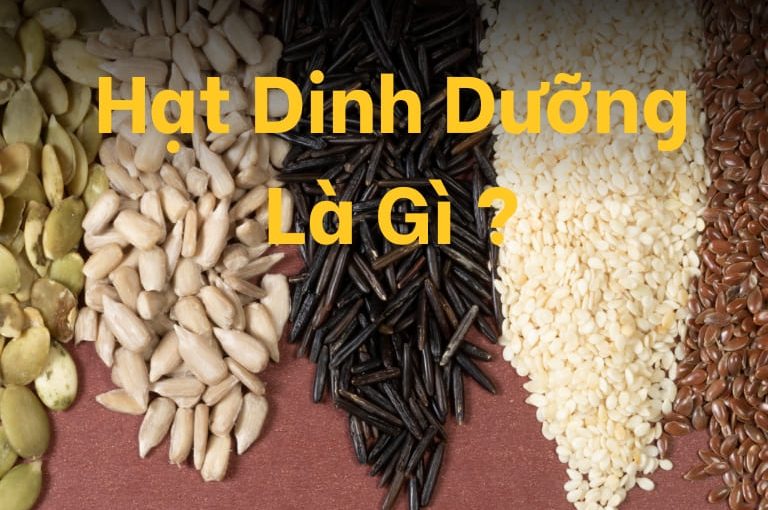 Hạt dinh dưỡng là gì