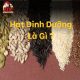 Hạt dinh dưỡng là gì