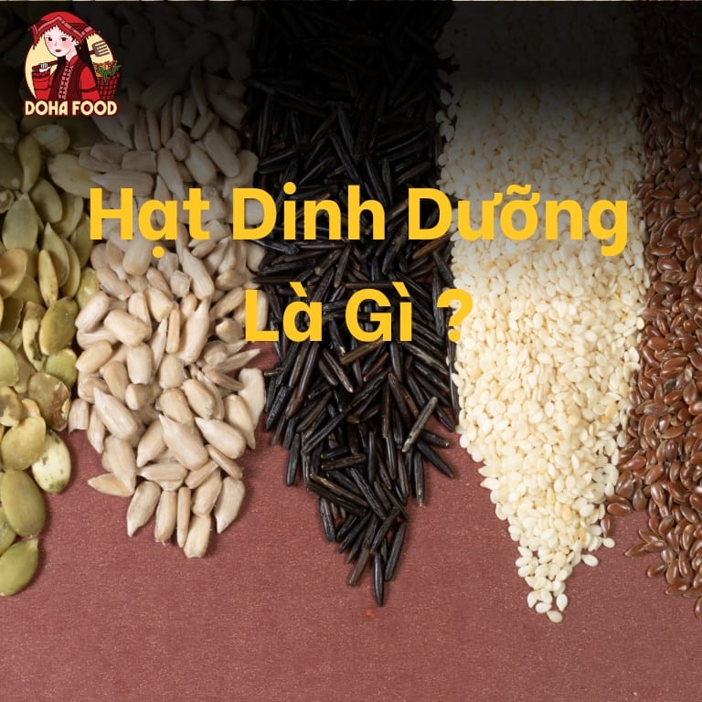 Hạt dinh dưỡng là gì