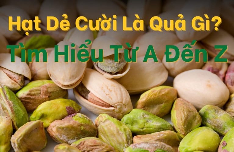 Hạt dẻ cười là quả gì?