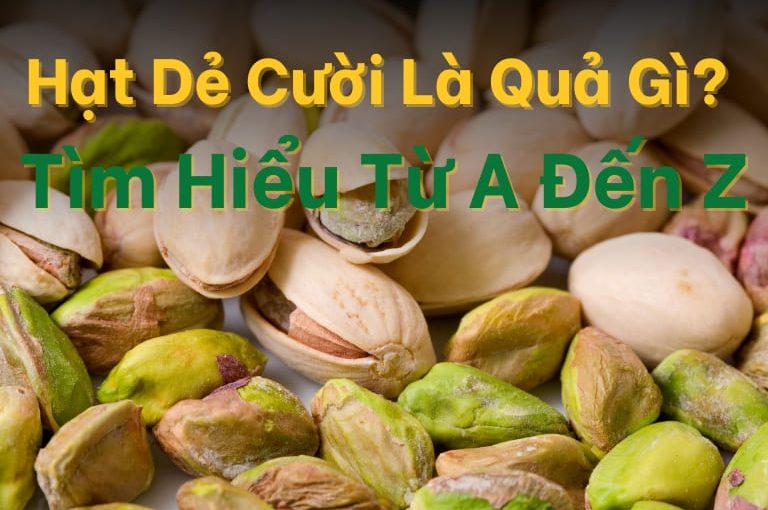 Hạt dẻ cười là quả gì?