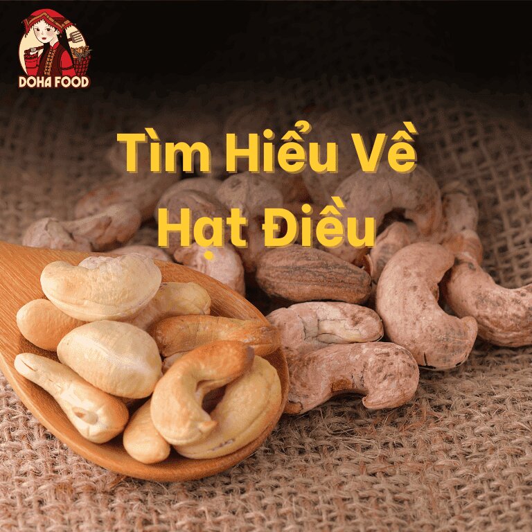 Hạt điều là gì