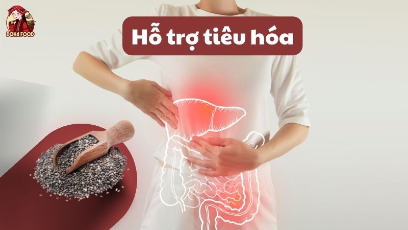 Hạt chia hỗ trợ tiêu hóa