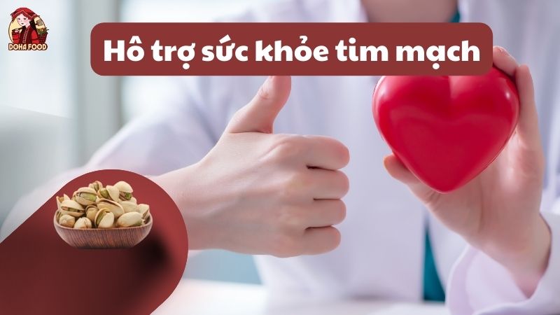 Hạt dẻ cười tốt cho tim mạch