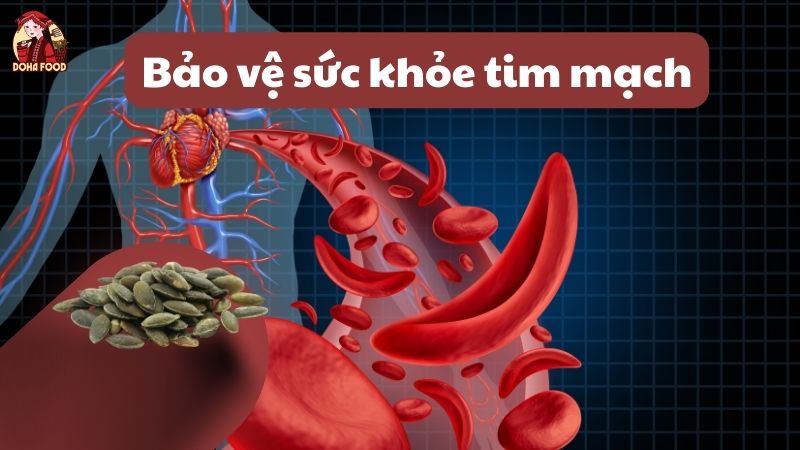 Hạt bí giúp bảo vệ sức khỏe tim mạch cho cơ thể