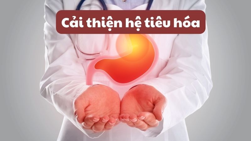 Hạt dẻ cười giúp tăng cường hệ tiêu hóa