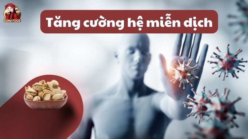 Hạt dẻ cười giúp tăng cường hệ miễn dịch