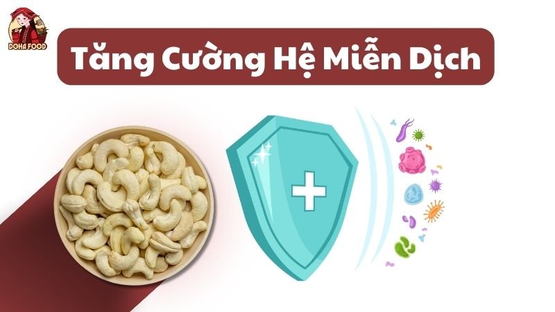 Hạt Điều Giúp Tăng Cường Hệ Miễn Dịch