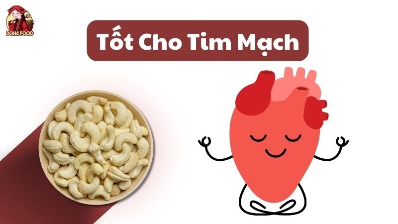 Hạt Điều Tốt Cho Tim Mạch