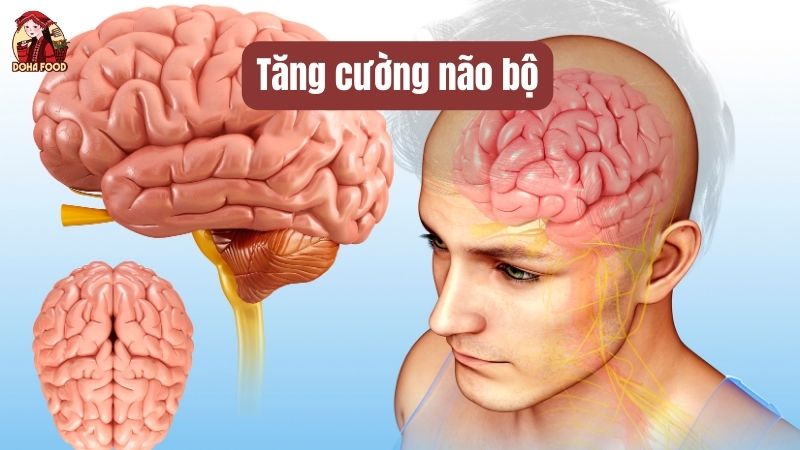 Hạt Hạnh Nhân Tăng Cường Sức Khỏe Não Bộ 