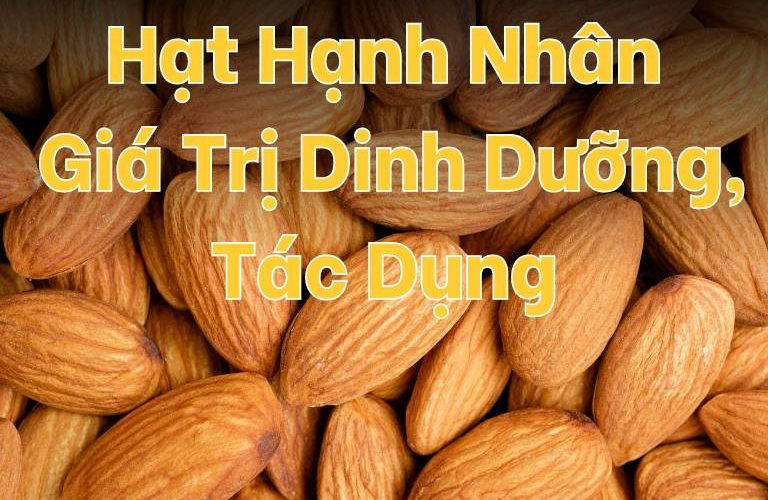 Hạt Hạnh Nhân Là Gì