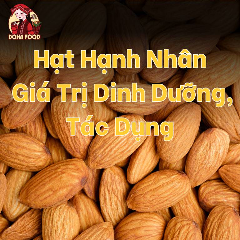 Hạt Hạnh Nhân Là Gì