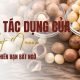 5 tác dụng của hạt macca mà bạn nên biết