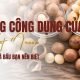 Công dụng của hạt macca với bà bầu