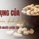 Tác dụng của các loại hạt giàu dinh dưỡng đối với người luyện tập