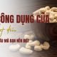 Các công dụng của hạt điều với bà bầu bạn nên biết