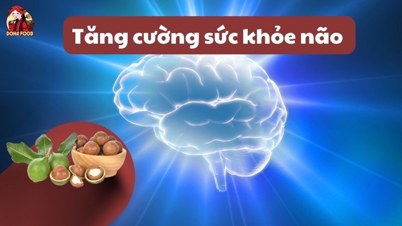 Hạt macca giúp trí não khỏe mạnh