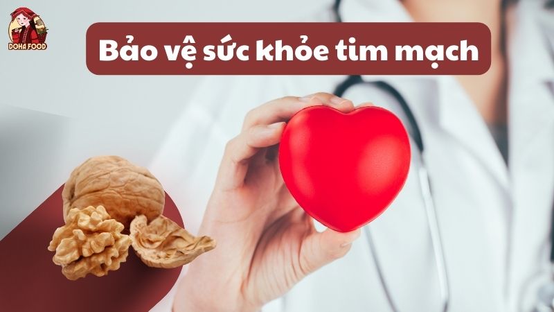 Tác dụng của hạt óc chó giúp bảo vệ sức khỏe tim mạch