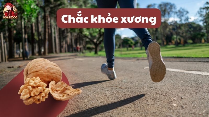 Tác dụng của hạt óc chó giúp chắc khỏe xương