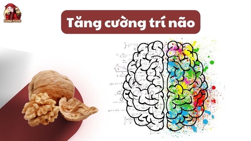 Tác dụng của hạt óc chó giúp tăng cường trí não