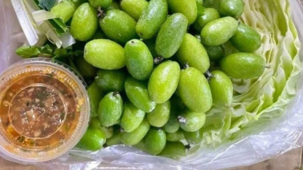 Giới Thiệu Chẩm Chéo Tây Bắc Và Cách Làm Muối chẩm chéo ăn cùng trái cây