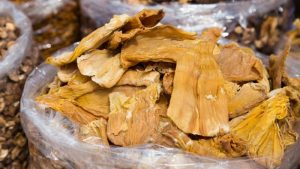 Cách Nấu Măng Khô Ngon, Hấp Dẫn Cho Mâm Cơm Tết