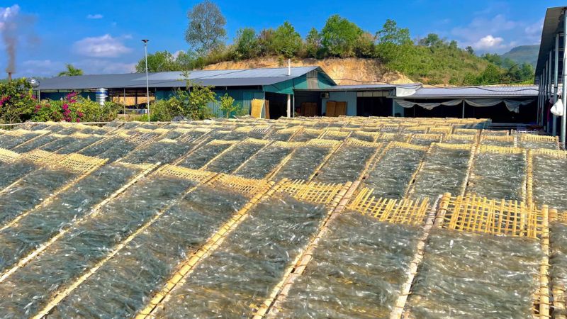 Những Cách Chế Biến Miến Dong Sợi To Tuyệt Hảo Cho Dịp Tết Những cách chế biến miến dong sợi to tuyệt hảo cho dịp Tết